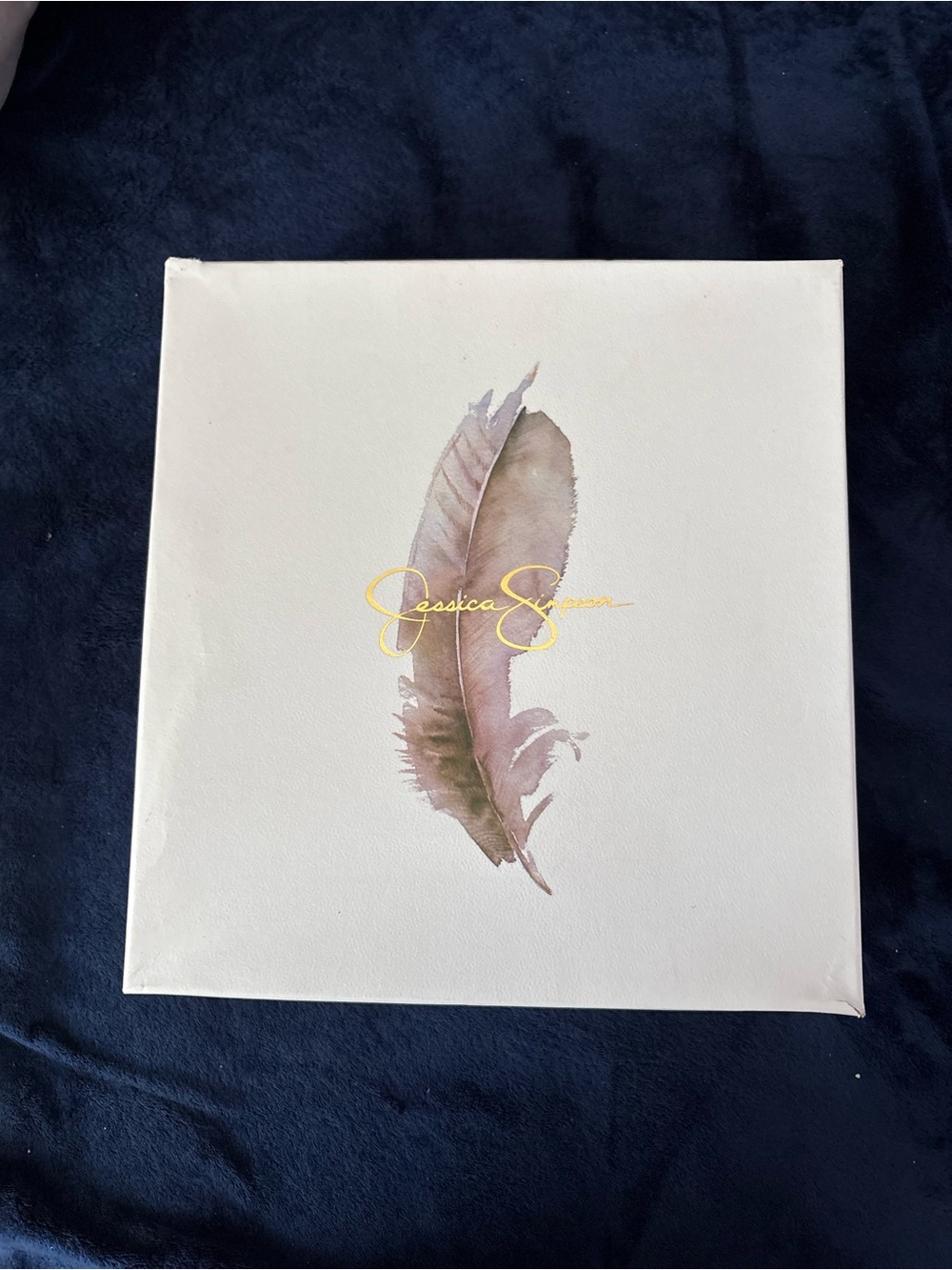 Jessica Simpson Feather Canvas Wall Art in Taupe and Gold Script